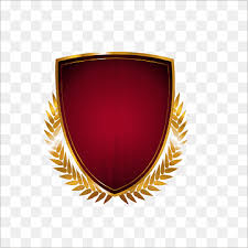 Shield Icon Design Icon Shield Logo