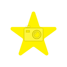 Star Icon Isolated Vector Wall