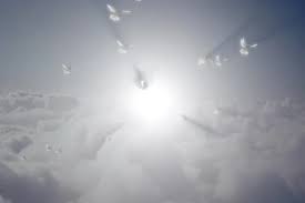 5514 Heaven Bound Doves Flying Stock