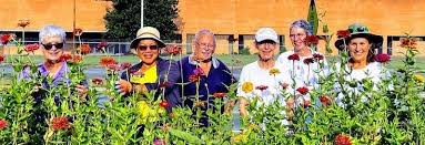 Extension Master Gardener Volunteer