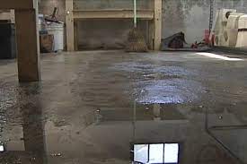 The Basement Floor