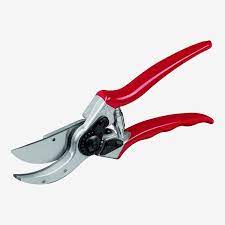 11 Best Garden Shears Loppers And