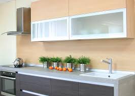 Glass Kitchen Cabinets For Your Modular