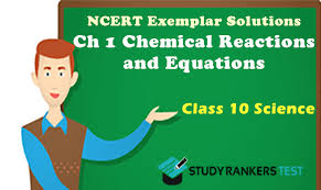 Equations Ncert Exemplar Solutions