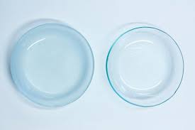 Buy Clear Glass Plates Set Of 2 Plates