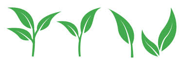 Plant Icon Images Browse 3 004 Stock