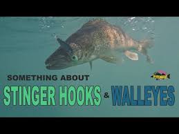 Stinger Hooks And Walleyes