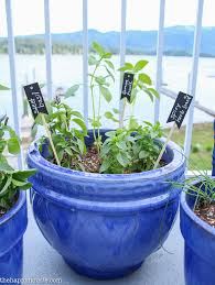 Easy Diy Kitchen Herb Garden In Deck