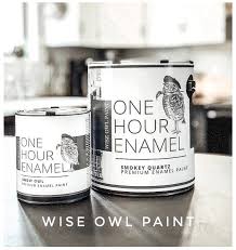 Enamel Wise Owl Paint Upcycled