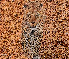 The Camouflage Leopard Drawing By