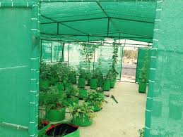 Vegetable Gardening Shade House At Best