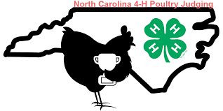 4 H Poultry Judging Nc State Extension