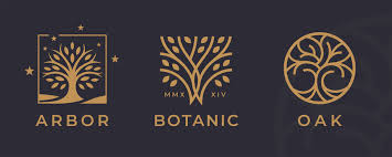 Oak Tree Logo Images Browse 75 032