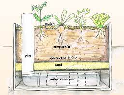 Wicking Beds And Water Conservation