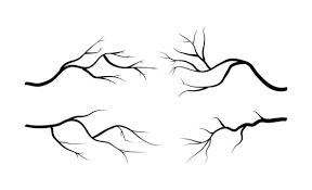 Tree Branch Drawing Images Browse 1