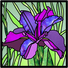 Louisiana Swamp Iris Stained Glass