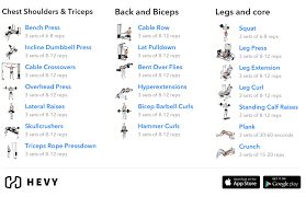 3 Day Split Workout Complete Guide
