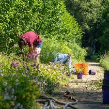 Olbrich Botanical Gardens Learn At