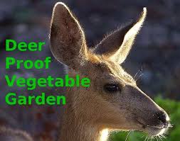 A Deer Proof Vegetable Garden Plan