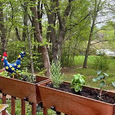 A Balcony Herb Garden Beginner S Guide