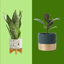46 Best Pots And Planters On