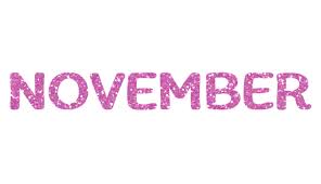 Pink Glitter November Letters Icon