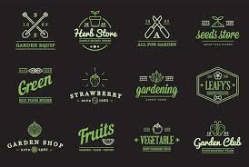 Fruits Or Vegetables Icons Ilration