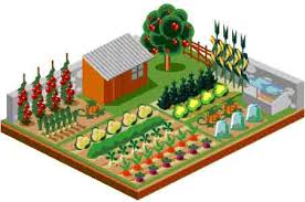 Garden Planning Nourish Project