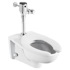 Exposed Toilet Flush Valve Diaphragm