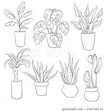 House Plants Line Art Style In Pots