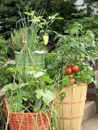 Enjoy A Vegetable Container Garden