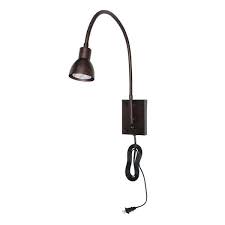 Light Rust Gooseneck Wall Sconce