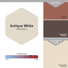 Antique White Eggs Interior Paint