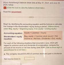 Wizco Advertising S Balance Sheet Data