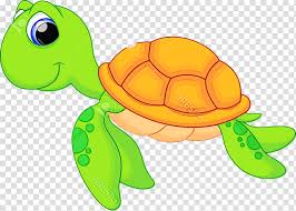 Sea Turtles Tortoise M Turtles Cartoon