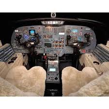 Sheepskin Seat Covers Pair