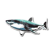 Great White Shark Sticker Phins Apparel