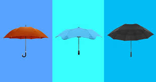The 9 Best Umbrellas 2024 The Strategist