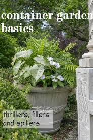 Container Gardening Basics Thrillers