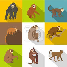 Jungle Monkey Icon Set Flat Style Set