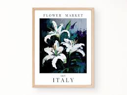 Italy National Flower Poster Flower