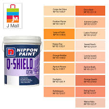 5l Nippon Paint Exterior Q Shield Extra