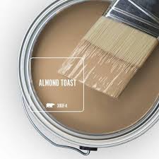 Almond Toast Matte Interior Paint