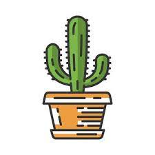 Mexican Giant Cactus In Pot Color Icon