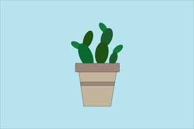 Cute Cactus Plant Icon Graphic Graphic