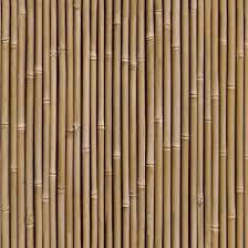 Bamboo Wall Wallpaper Natural