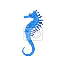 Bright Blue Seahorse Small Marine Fish