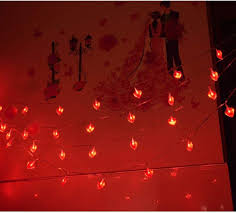 25ft 50leds Battery Powered Valentines