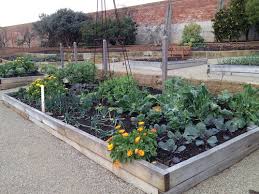 Making A Raised Vegetable Bed