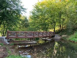 Timber Bridges Wooden Bridges